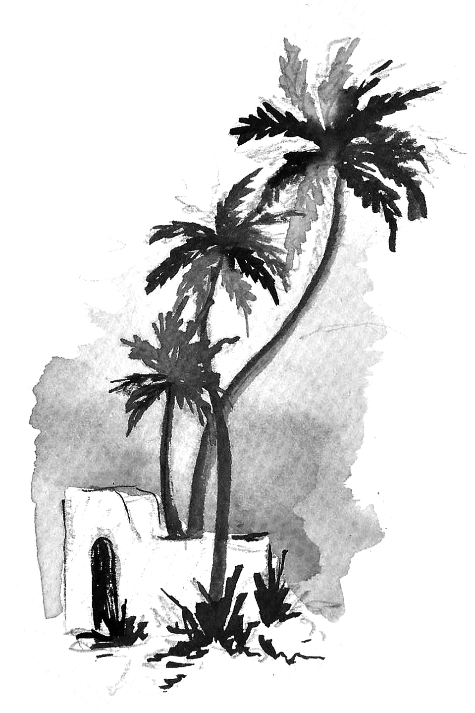 Image oasis orient paysage arabe à l'encre de chine